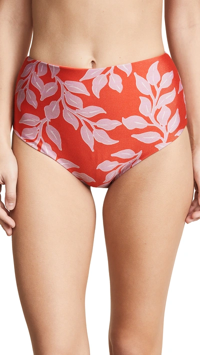 Patbo Leaf-print High-waist Bikini Bottom In Hot Pink