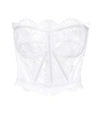 DOLCE & GABBANA COTTON LACE BUSTIER,P00353507