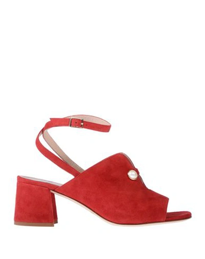 Gianna Meliani Sandals In Red