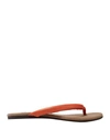 NEWBARK Flip flops,11619566VP 5