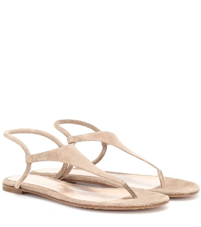 Gianvito Rossi Anya Suede Thong Sandals In Brown