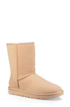 Ugg Classic Ii Genuine Shearling Lined Short Boot In Amber Light