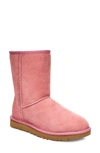 Ugg Classic Ii Genuine Shearling Lined Short Boot In Pink Dawn Suede