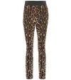 Dolce & Gabbana Leggings In Charmeuse With Leopard Print In Multicoloured