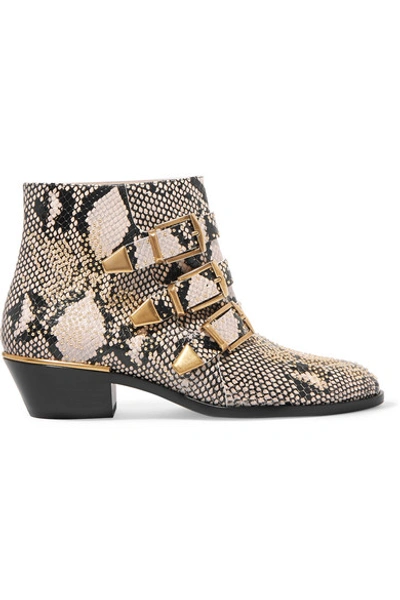 Chloé Susanna Studded Snake-effect Leather Ankle Boots In Eternal Gray Snakeskin Embossed Leather