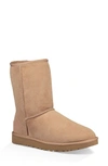 Ugg Classic Ii Genuine Shearling Lined Short Boot In Fawn Suede