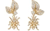 DOLCE & GABBANA Insect earrings,WEL2N6 W1111 ZOO00