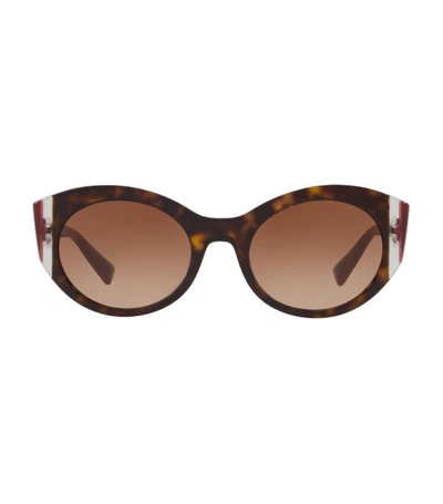 Valentino 53mm Cat Eye Sunglasses - Havana/ Burgundy/ Brown In Gradient Brown