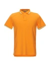 SUNDEK Polo shirt,37991903PI 5