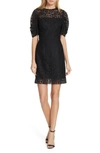 MILLY KARA LACE SHEATH DRESS,215FA014149