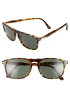 Persol 54mm Square Sunglasses In Brown Tortoise/ Green Solid