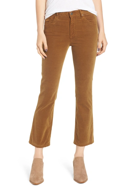 Ag Jodi Velvet Cropped High-rise Flare Jeans In Golden Olive