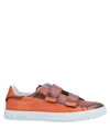 Tod's Sneakers In Brown