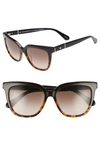 KATE SPADE KAHLI 53MM CAT EYE SUNGLASSES - BLACK HAVANA,KAHLIS