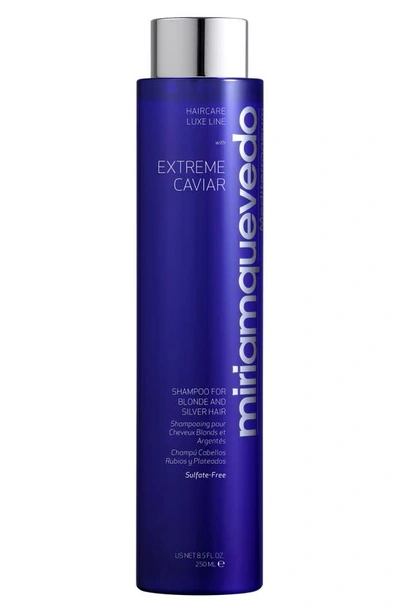 Miriam Quevedo Extreme Caviar Shampoo For Blonde And Silver Hair