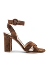 GIANVITO ROSSI CAMOSCIO 凉鞋,GIAN-WZ391