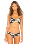 BOYS + ARROWS Jackson Bikini Top,BOYS-WX254