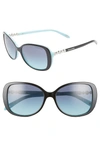 Tiffany & Co 55mm Gradient Butterfly Sunglasses In Black/ Blue Gradient