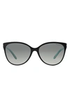 Tiffany & Co 58mm Polarized Cat Eye Sunglasses In Black/ Blue/ Black Gradient