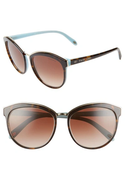 Tiffany & Co Tiffany Tf4117b Havana On Tiffany Blue Sunglasses In Brown