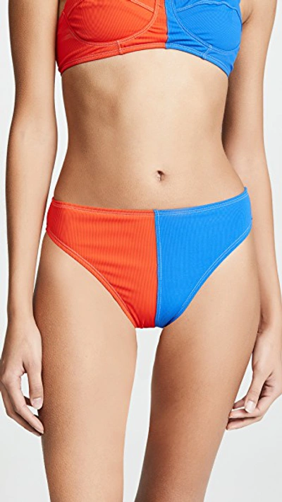 Ack Amore Bikini Bottoms In Multi