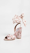 TABITHA SIMMONS X JOHANNA ORTIZ CONNIE WRAP SANDALS