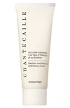 CHANTECAILLE BAMBOO & HIBISCUS EXFOLIATING CREAM,70403