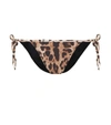 Dolce & Gabbana Leopard-print String Bikini Briefs In Brown