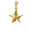 True Rocks 18ct Gold Plated Star Charm In Star