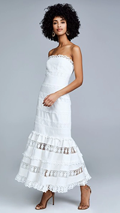 Zimmermann Wayfarer Strapless Cotton And Lace Midi Dress In Ivory