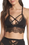 BLUEBELLA NYANE LACE BRALETTE,40589