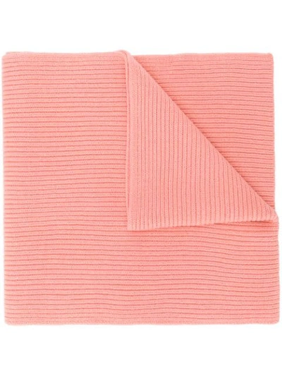 Acne Studios Bansy L Face Wool Scarf In Pale Pink