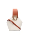 DANSE LENTE WHITE AND BROWN JOHNNY MINI LEATHER BUCKET BAG