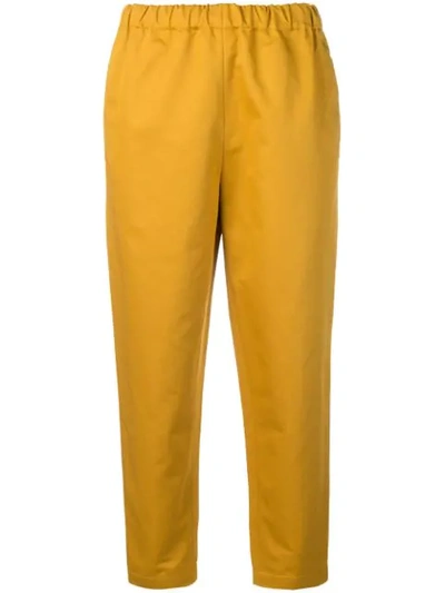 Marni Cropped Elasticated Trousers In Yellow