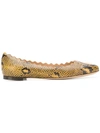 Chloé Lauren Scalloped Snake-effect Leather Ballet Flats In Snake Print