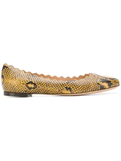 Chloé Lauren Scalloped Snake-effect Leather Ballet Flats In Snake Print