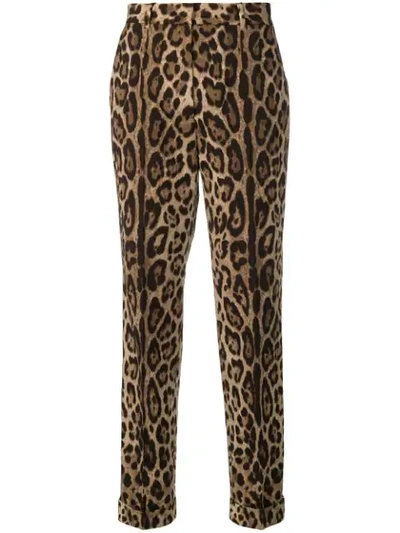 Dolce & Gabbana Leopard-print High-rise Cotton Straight-leg Pants In Multi
