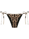 Dolce & Gabbana Leopard-print String Bikini Briefs In Brown