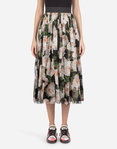 Dolce & Gabbana Floral Tulle Skirt In Multi