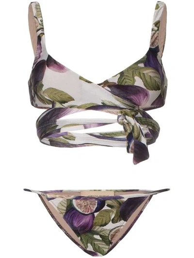 Adriana Degreas Fig Print Wrap Tie Bikini Set In Purple