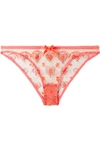 AGENT PROVOCATEUR PERDIA EMBROIDERED TULLE BRIEFS