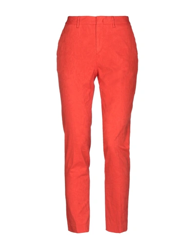 Pt01 Casual Pants In Orange