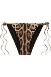 Dolce & Gabbana Leopard-print String Bikini Briefs In Leopard Print