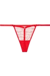 LES GIRLS LES BOYS LOVE NOTE EMBROIDERED TULLE THONG