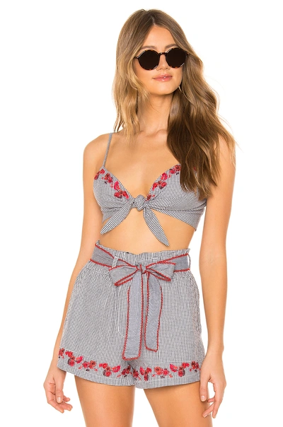 Agua Bendita X Revolve Heidi Bralette Top In Gingham