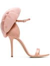 GIUSEPPE ZANOTTI GIUSEPPE ZANOTTI ROSE PUMPS - PINK