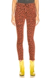 MOTHER MOTHER HIGH WAISTED LOOKER ANKLE FRAY IN ANIMAL ATTRACTION,MOTF-WJ379