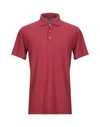 VENGERA Polo shirt,12295329CN 6