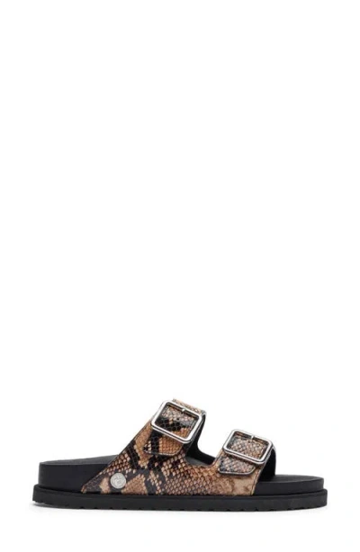 1774 Birkenstock Arizona Snakeskin Embossed Leather Buckle Slide Sandal In Natural Snake