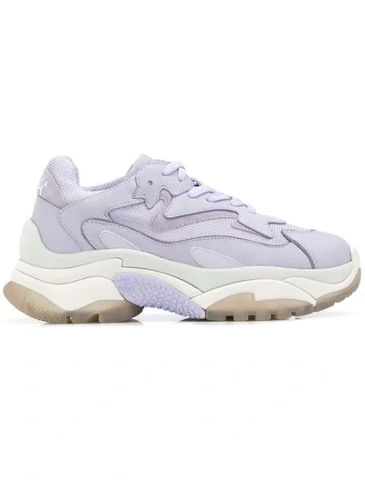 Ash Addict Sneakers - 紫色 In Purple